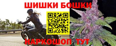 крисы Будённовск