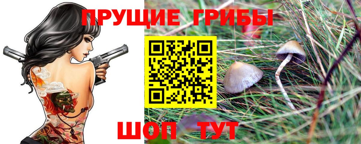Галлюциногенные грибы GOLDEN TEACHER  Галлюциногенные грибы MAGIC MUSHROOMS  Тайшет  Вход с VPN 