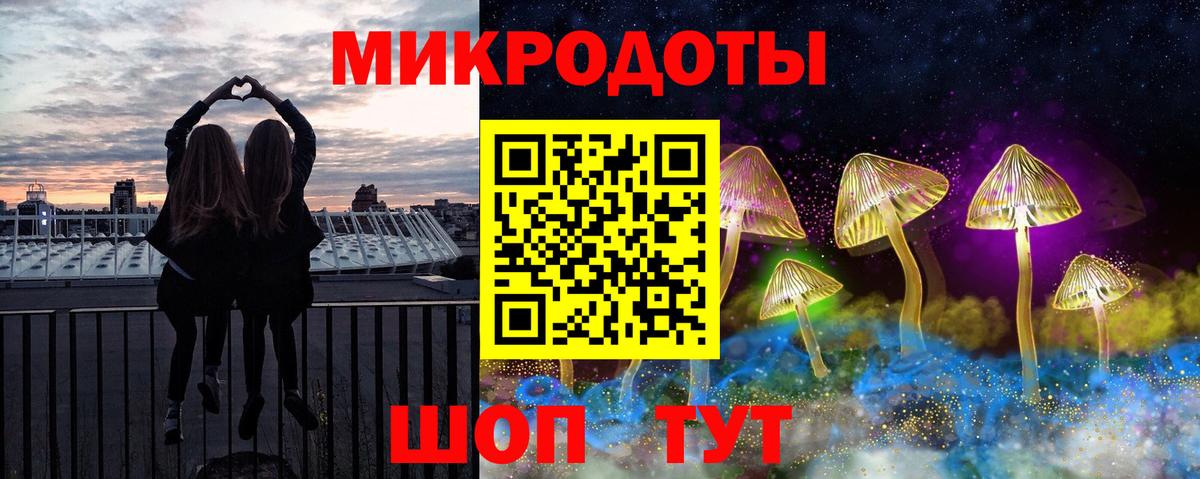 Псилоцибиновые грибы Psilocybe Тайшет
